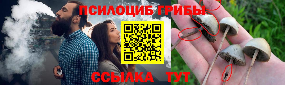 Кизляр  Псилоцибиновые грибы мицелий  Вход с VPN 