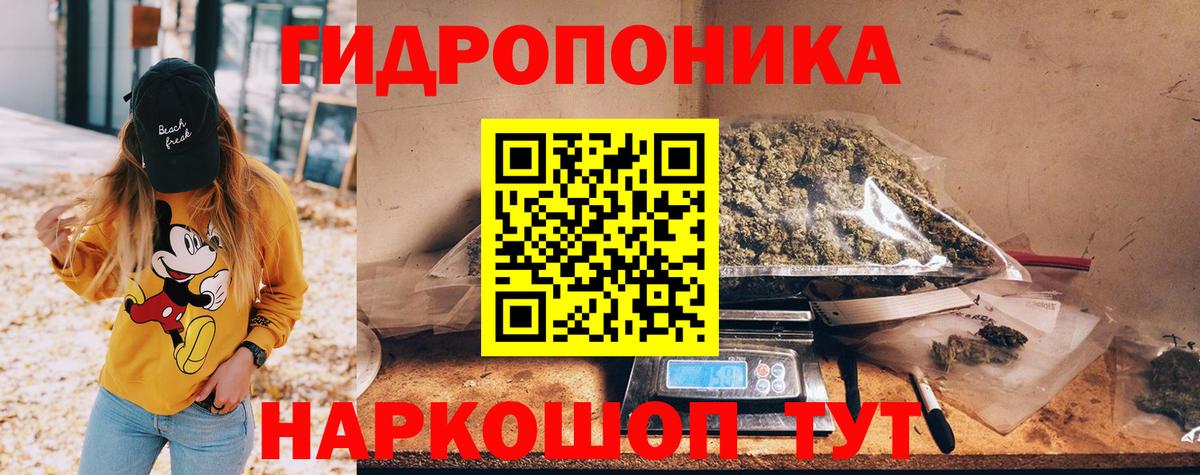 Кизляр  Каннабис семена  Каннабис сатива  Вход с VPN 